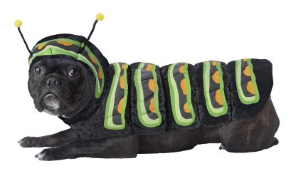Caterpillar Dog Costume CCC-PET20158
